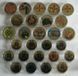 Повний набір кольорових з двох боків монет 10 гривень з серії "Сили оборони та безпеки" 13 шт. 935533715 фото 8